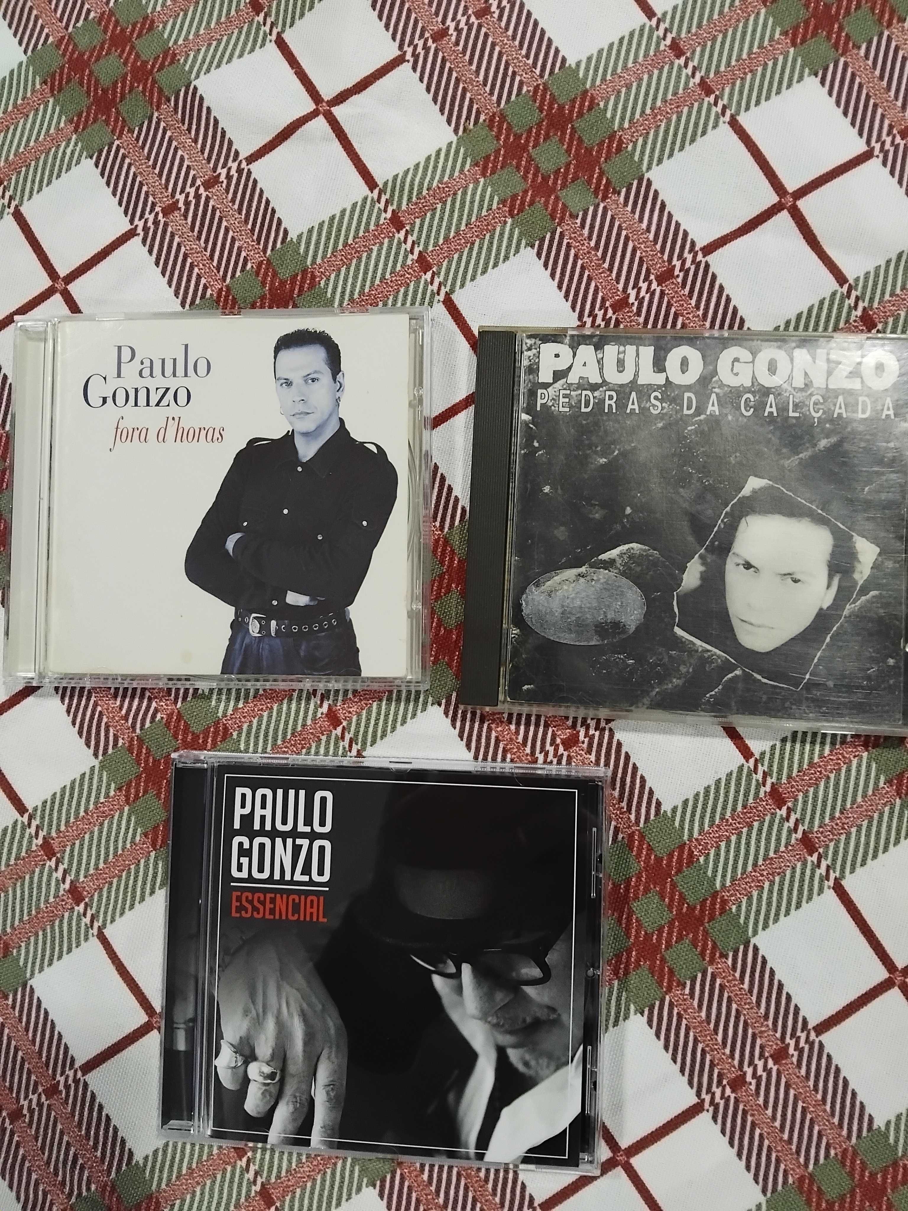 3 CDs do Paulo Gonzo