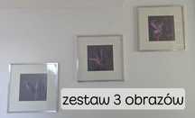 zestaw 3 obrazów- kwiaty