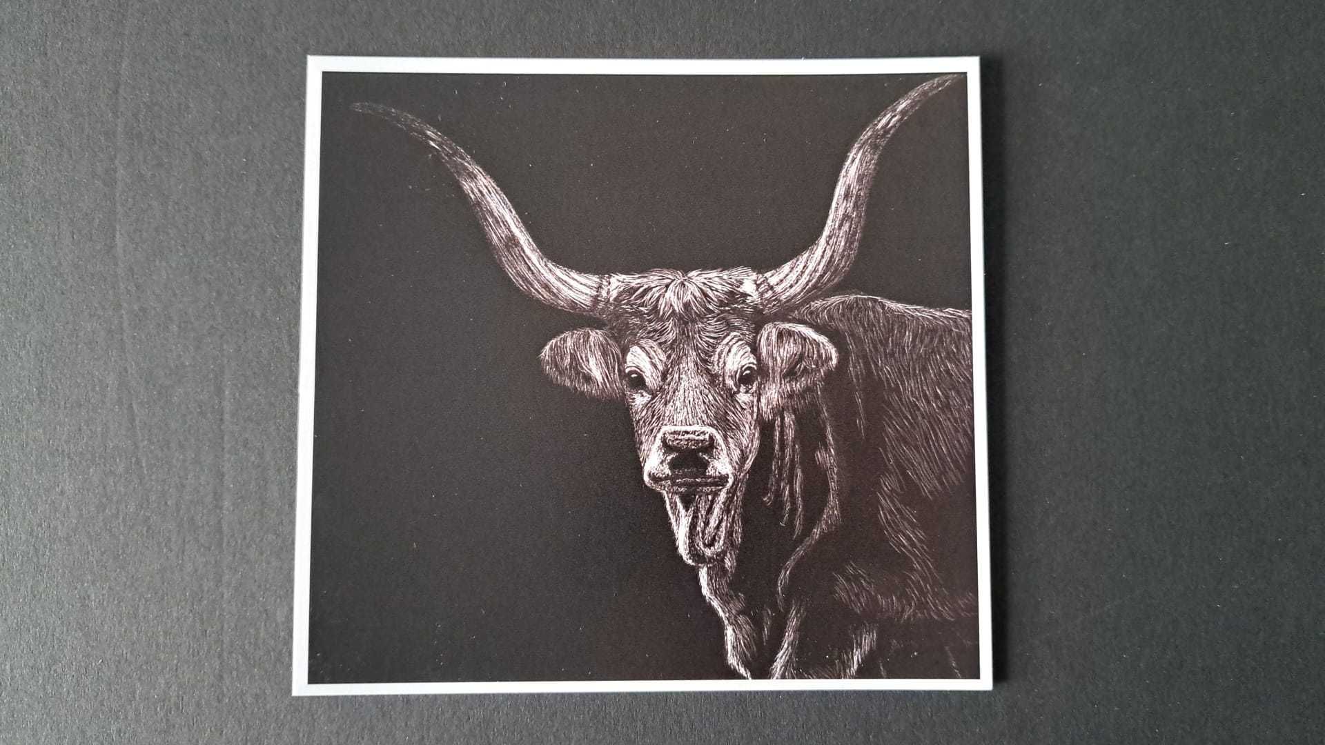 Postal de desenho de vaca cachena Soajo tradições Norte de Portugal