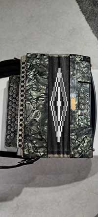 Concertina Nussbaumer