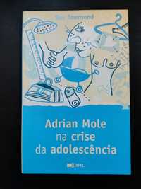 Livro: Adrian Mole na crise da adolescência