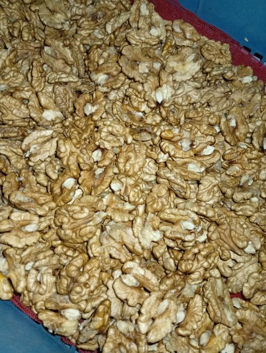 Горіх бабочка ,четверть з кусочком світла, кондитерка   орех 2025 рі