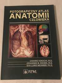 Atlas anatomia fotograficzny Yokochi