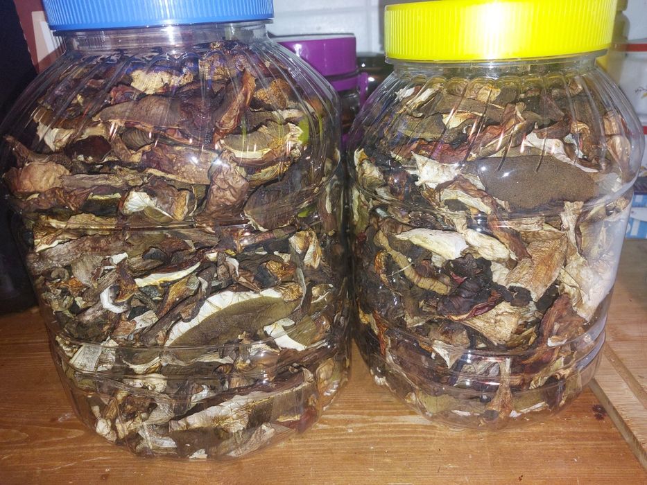 Sprzedam grzyby suszone