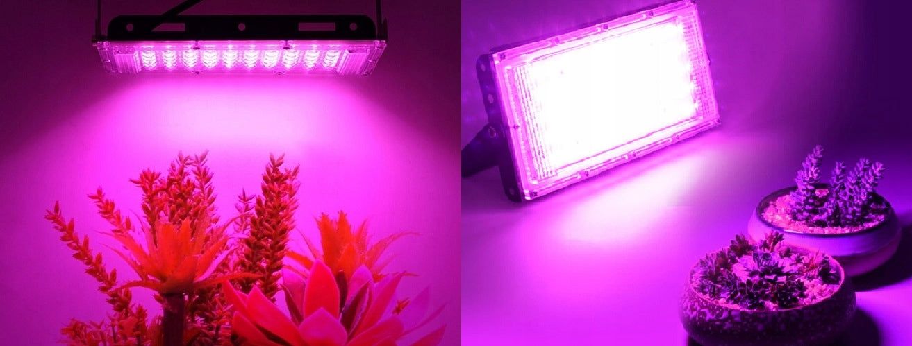 Lampa Led Do Wzrostu Uprawy Roślin Grow 50 W
