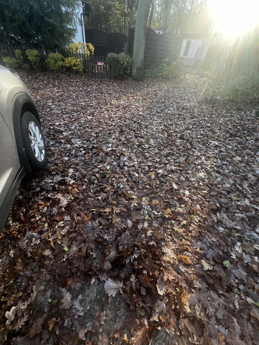 Sprzątanie działki, ogrodów, karczowanie zieleni