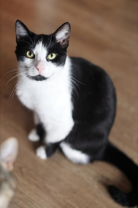 Hej Człowiek- ile mamy czekać na dom?