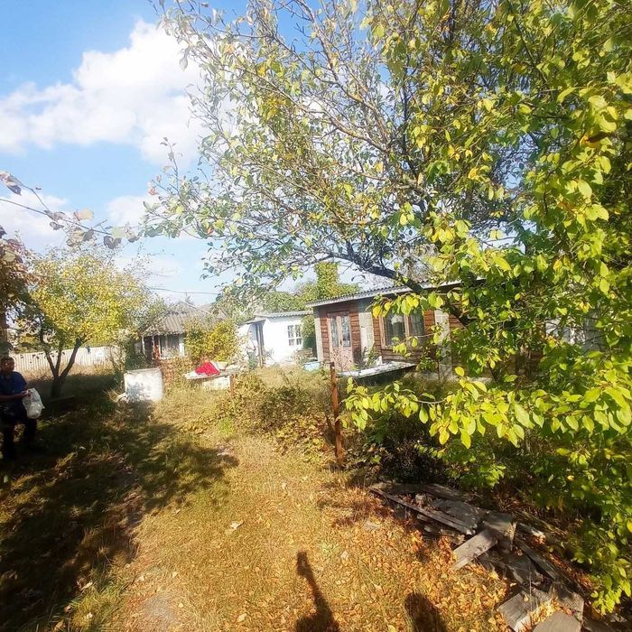 Я Продам дачу, Кам’яна Гора, масив Борковський