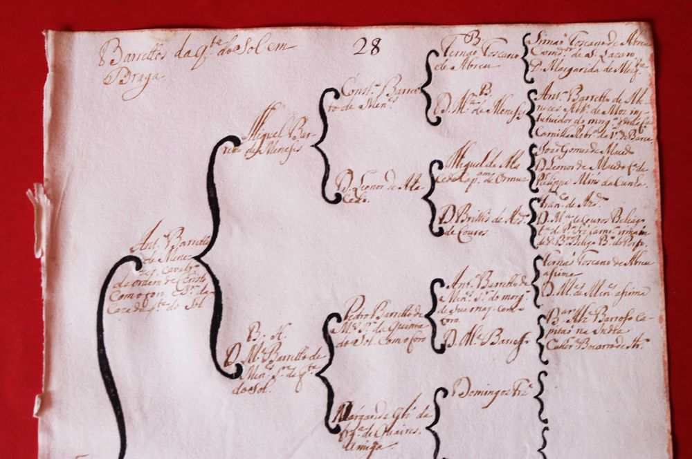 Barretos da Quinta do Sol em Braga, árvore de costados (cc 1746)