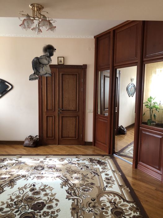 Продаж будинку в Станишівці