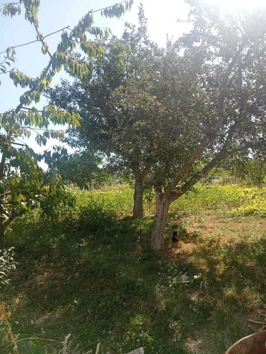 (3) Продам земельну ділянку на Вінницьких Хуторах 0756