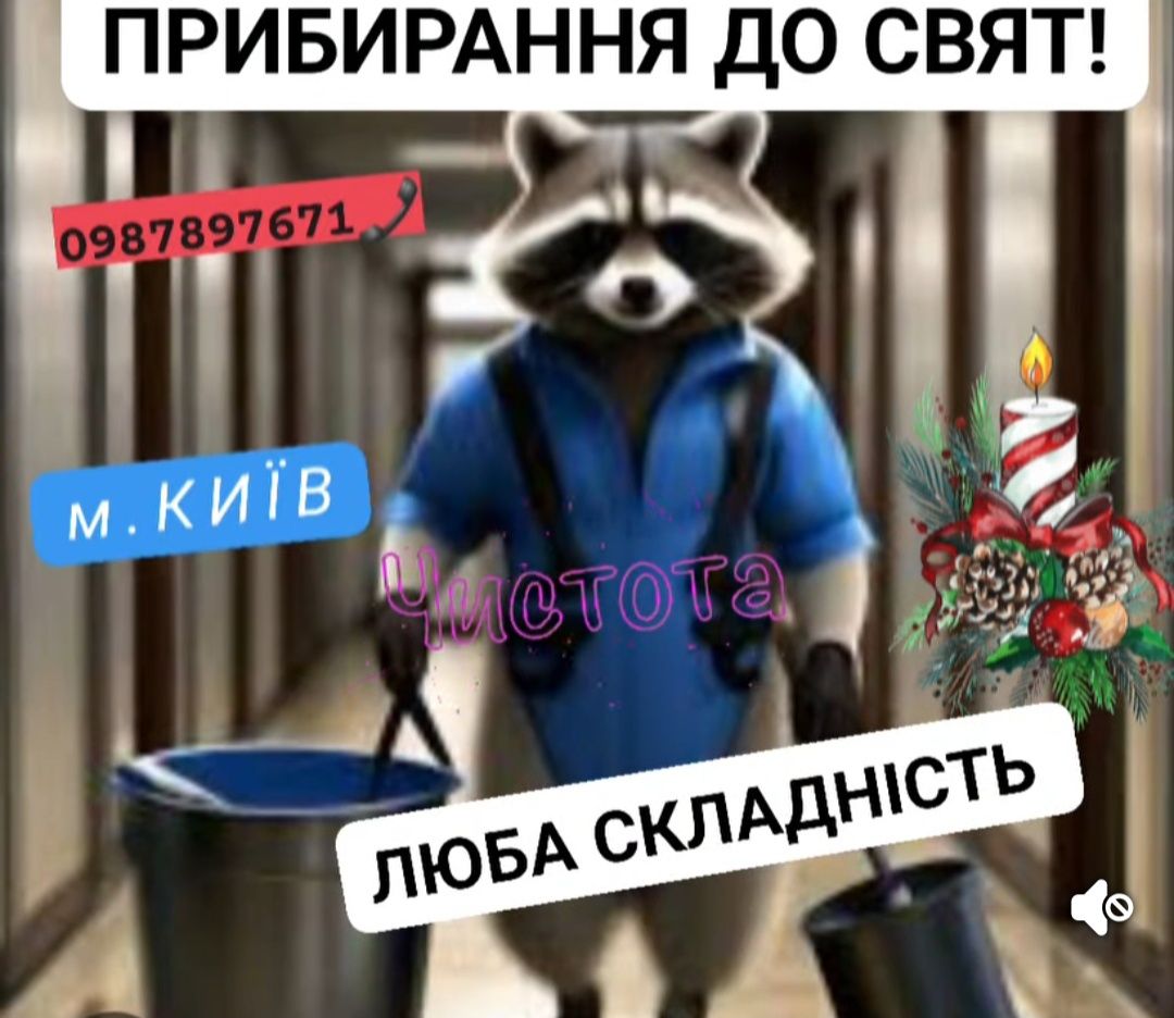 ПРИБИРАННЯ Київська область