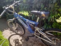 Rower Forester Atack