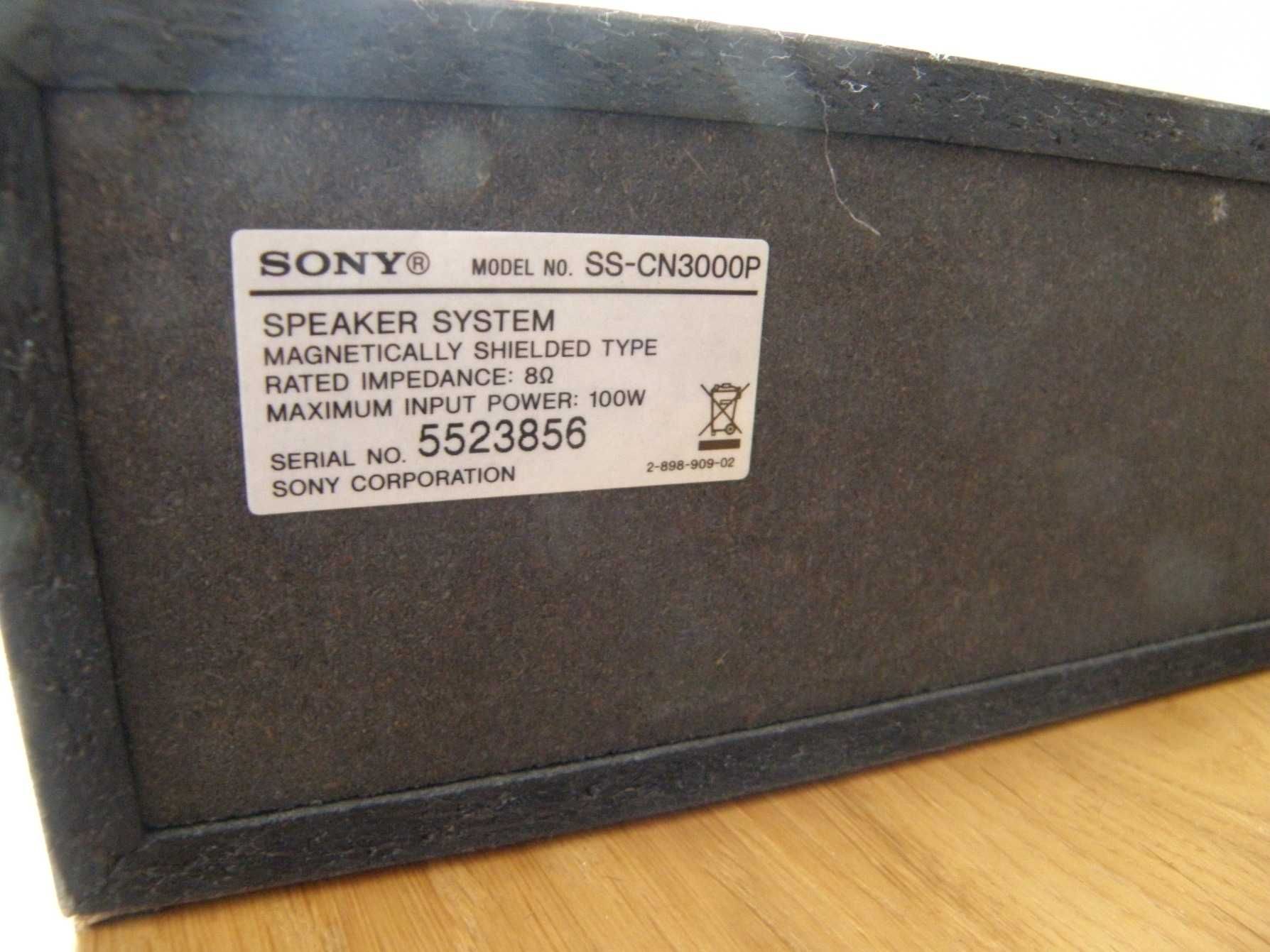 Kolumna sony centralna SS CN3000P