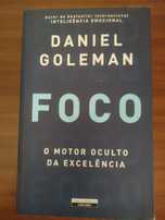 Foco, Daniel Goleman
