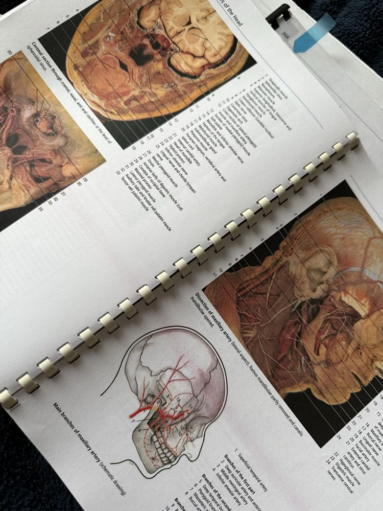 Atlas anatomii Yokochi 7 wydanie po angielsku