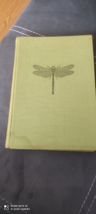 W świecie owadów 1957 - najtaniej
