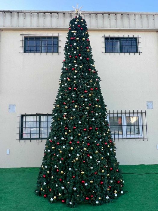 Aluguer de Arvore de Natal