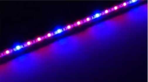 Oświetlenie Led 100 CM 5630 Special - PLANT GROW