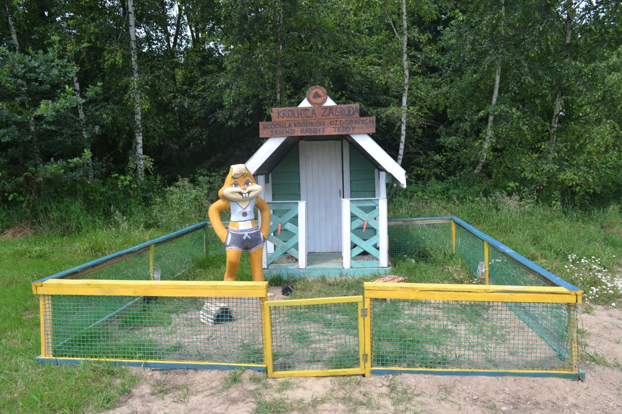 Ognisty Kocioł SPA Basen  Balia , Beczka ,Alpaki Konie Domki , domek