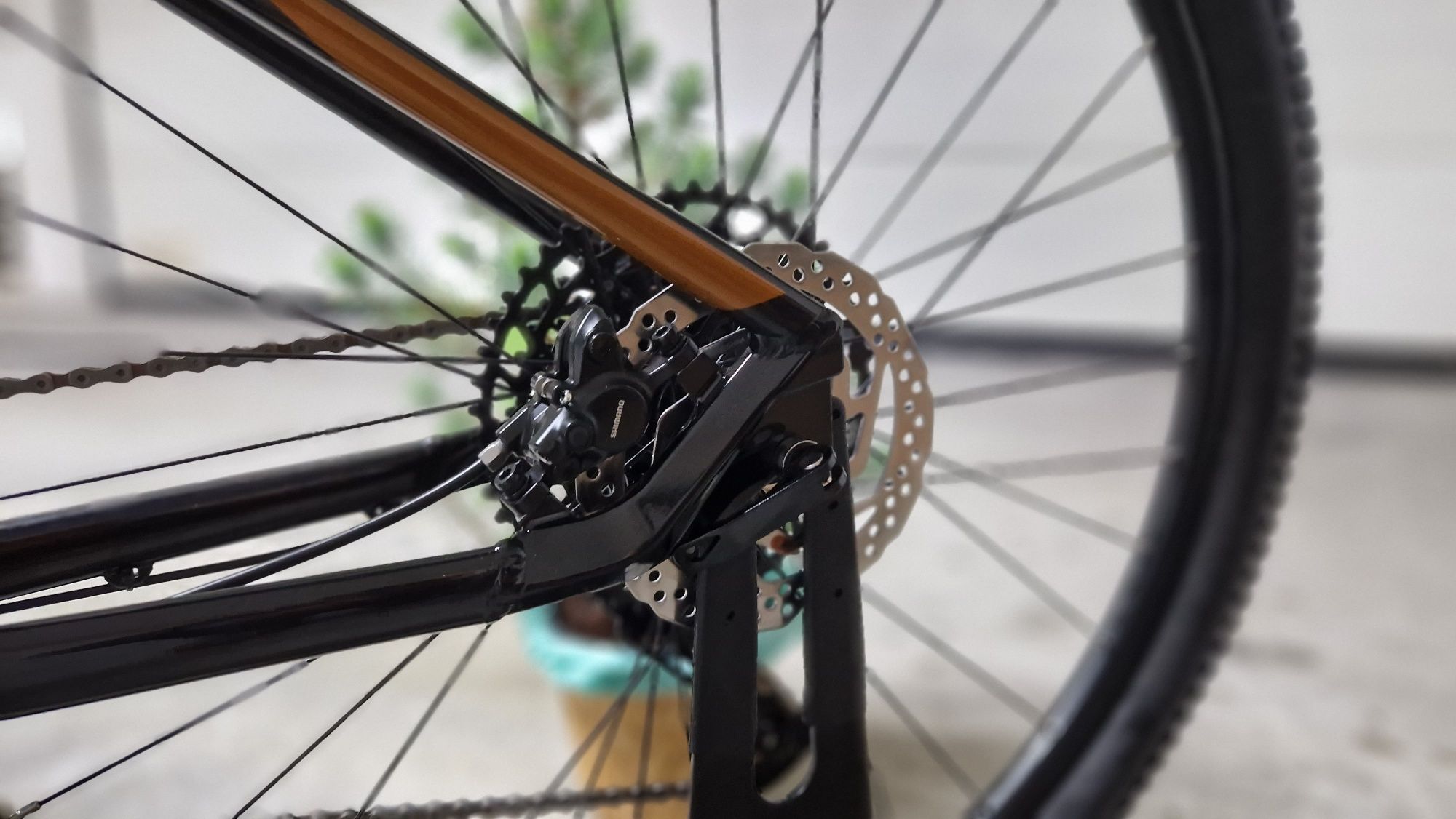 Bicicleta NOVAS - Coluer pragma 1x10 S-race