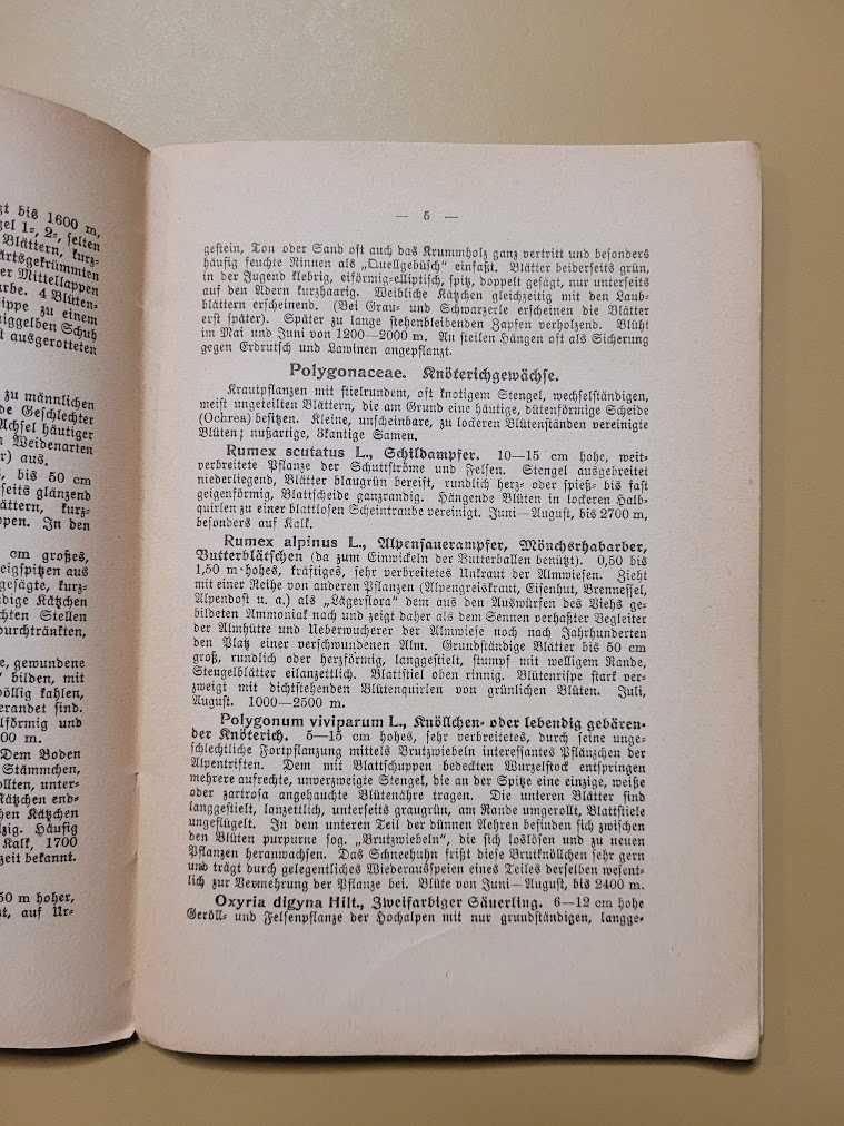 Schreibers kleiner Atlas der Alpenpflanzen