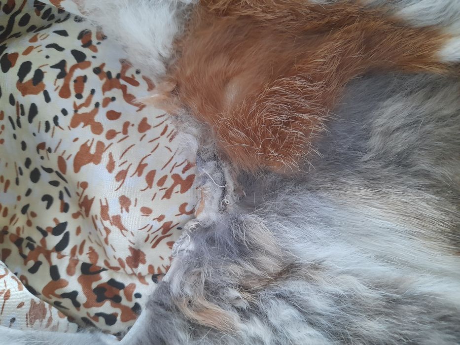 Kamizelka z futra królika