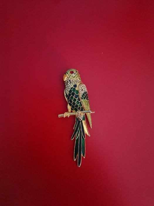 Broche/Pregadeira papagaio