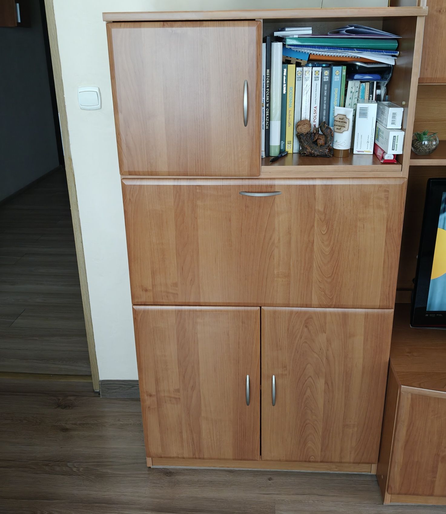 Meble do salonu,. meblościanka