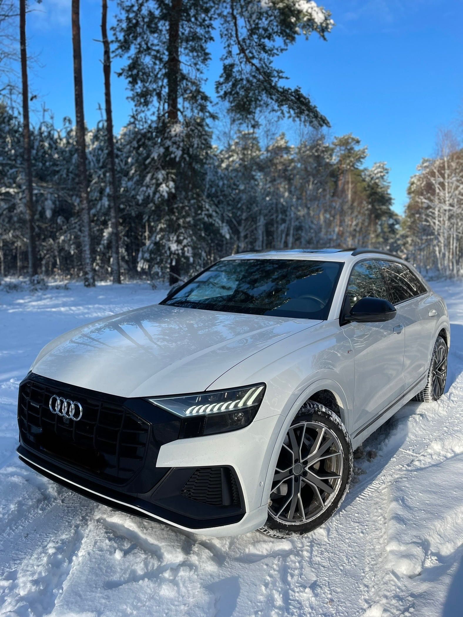 Auto do Ślubu Audi Q8 Wynajem