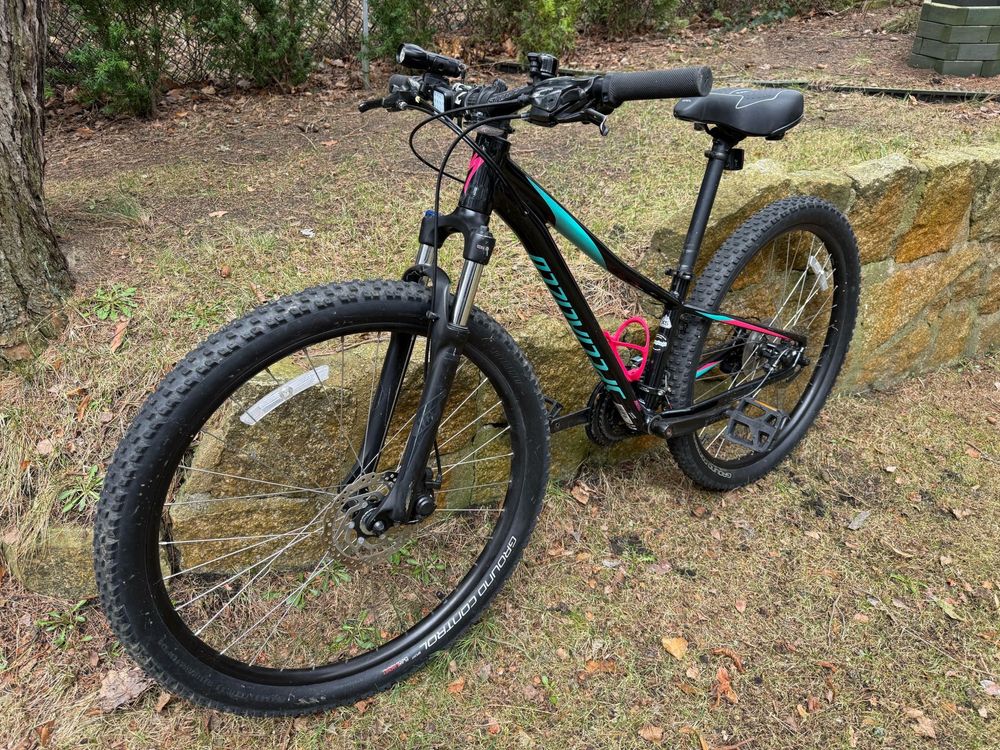 Specialized rockhopper rower