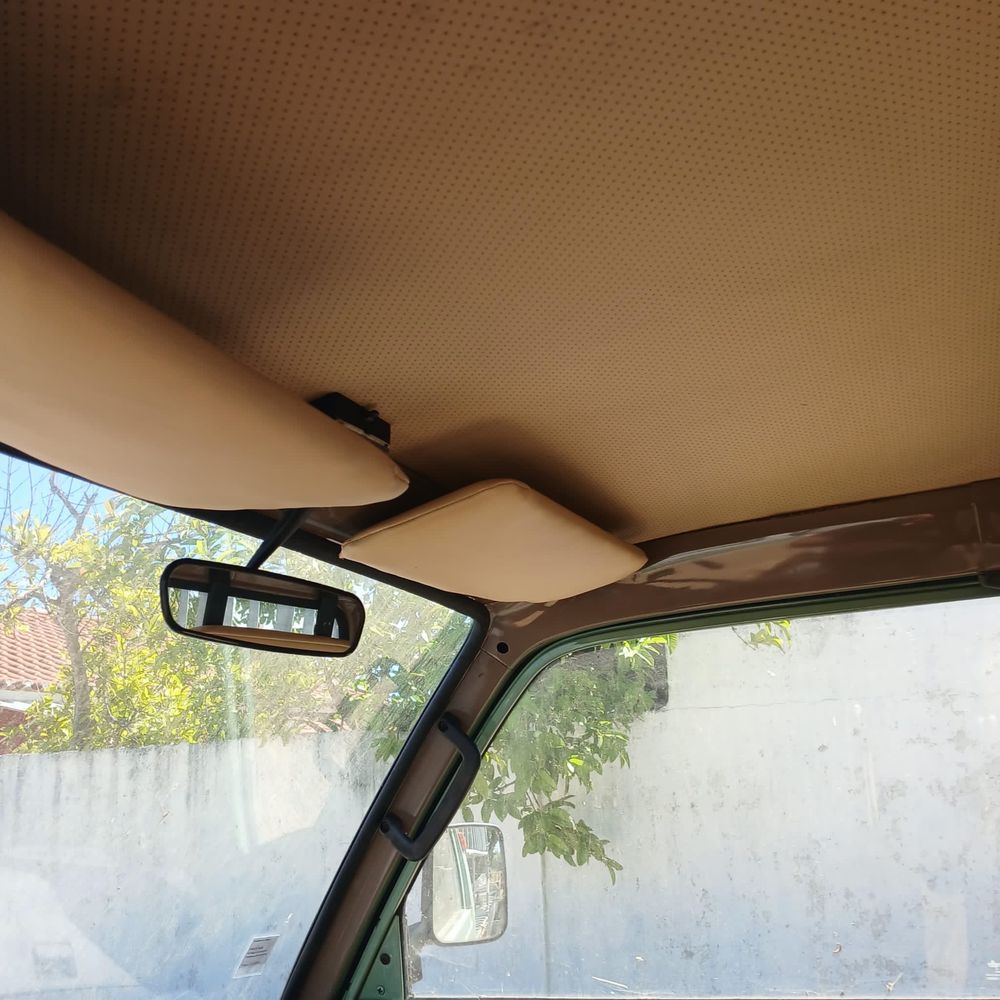Suzuki Carry Pickup