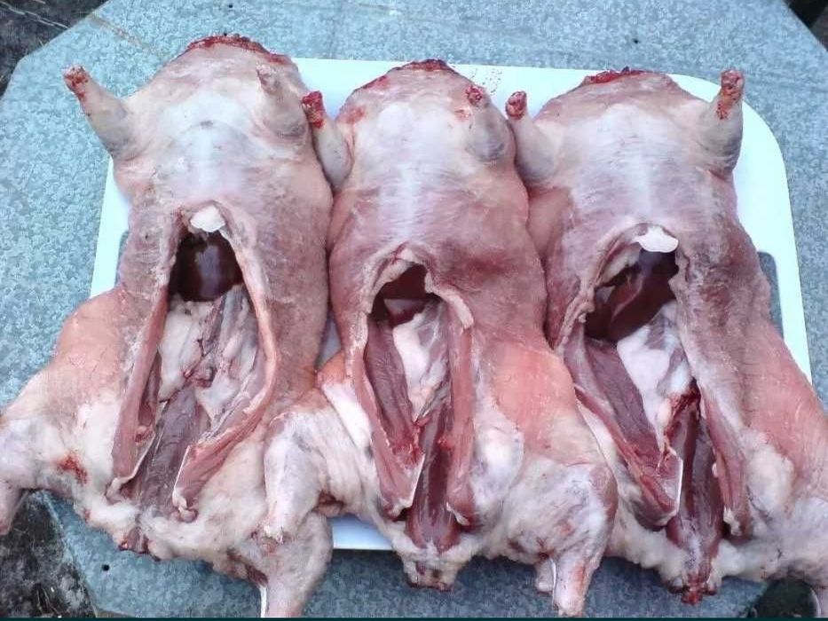 Тушка домашнього  кролика