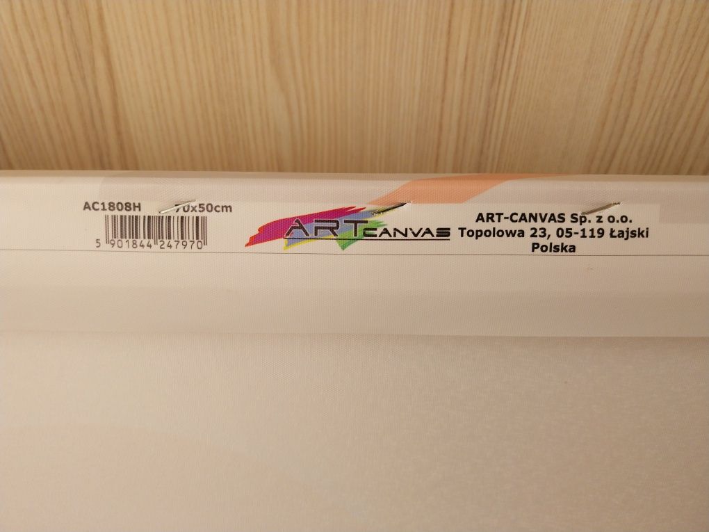 Obraz do Salonu 50x70