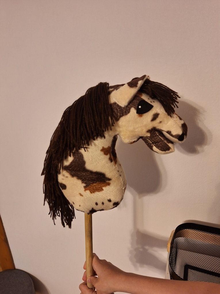 Hobby horse łaciaty