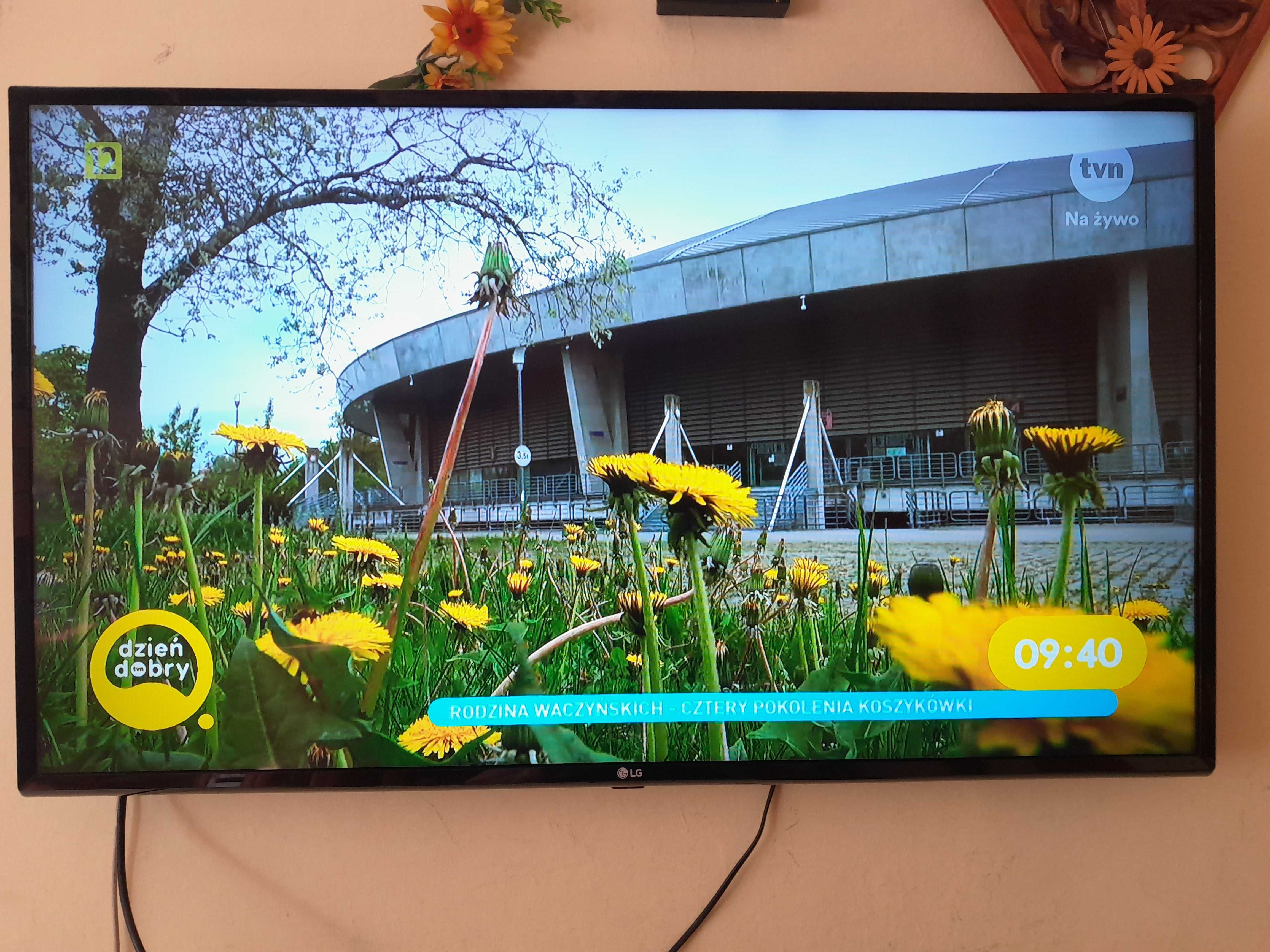 TV LED LG43LJ594V Smart