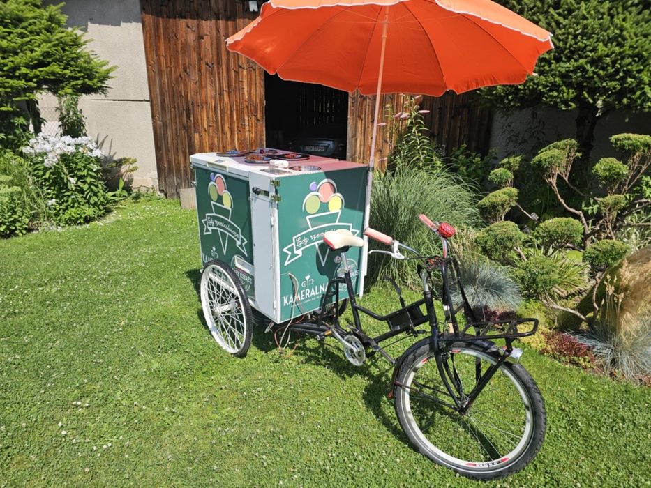 Rower gastronomiczny riksza z lodami chłodnia biznes