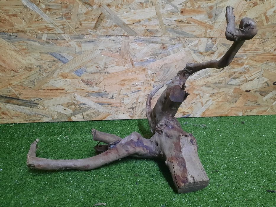 Korzeń do akwarium Red Moore Wood nr 875 o wymiarach 36/30/30