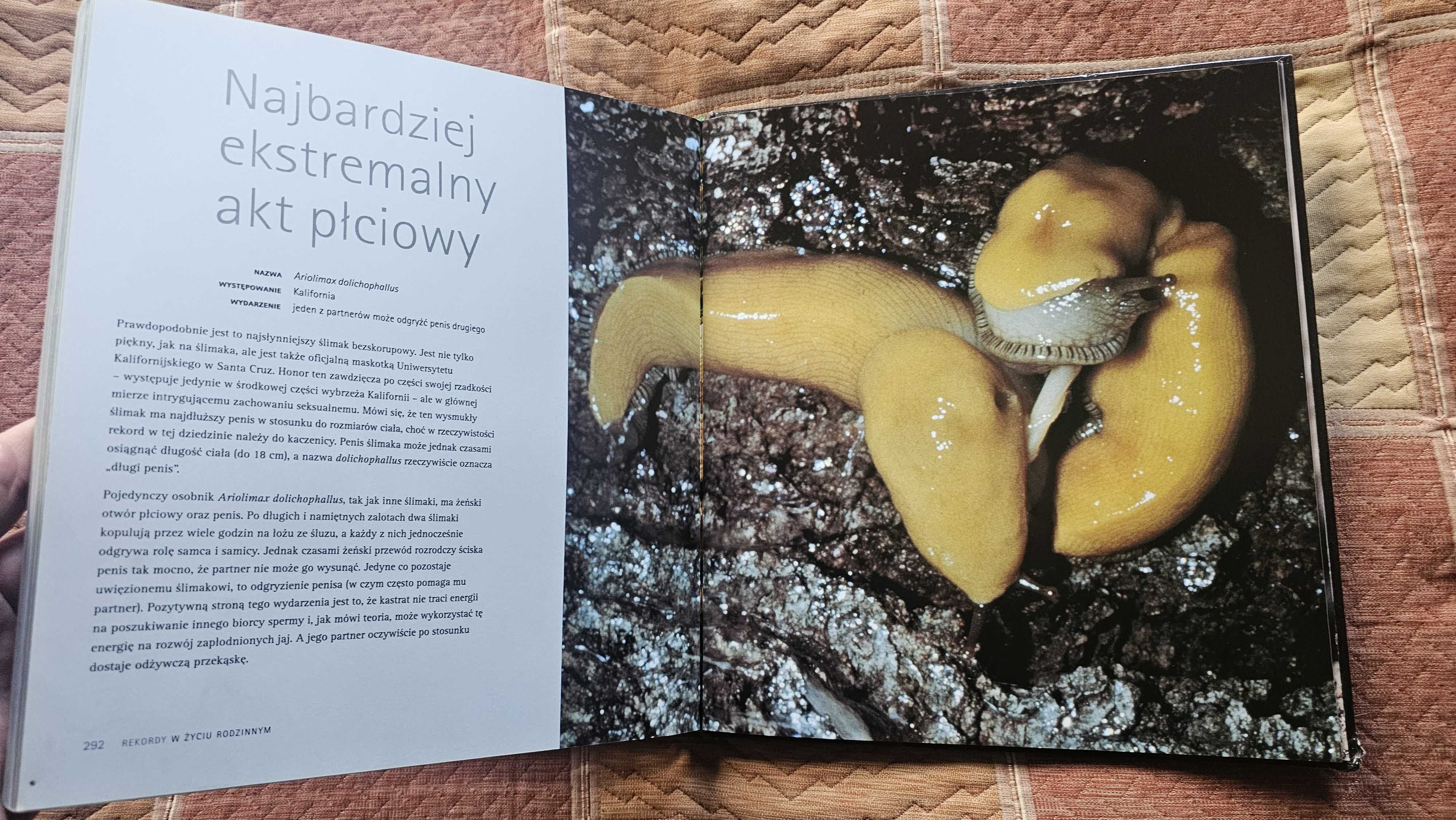 A4 ALBUM Wybryki natury National Geographic Mark Carwardine