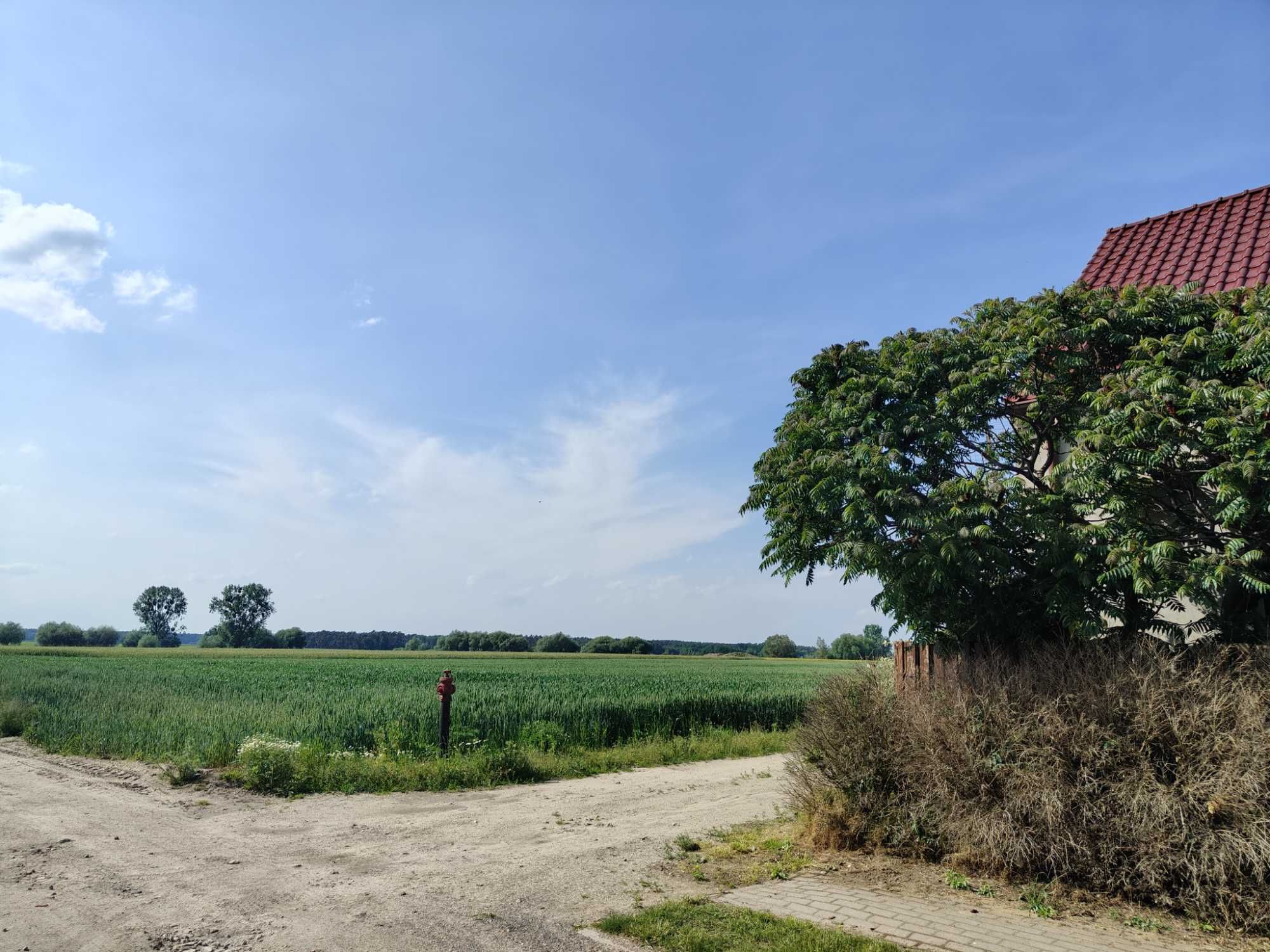 Sprzedam gospodarstwo rolne o pow. 1,53 ha, gm. Krobia, pow. Gostyński