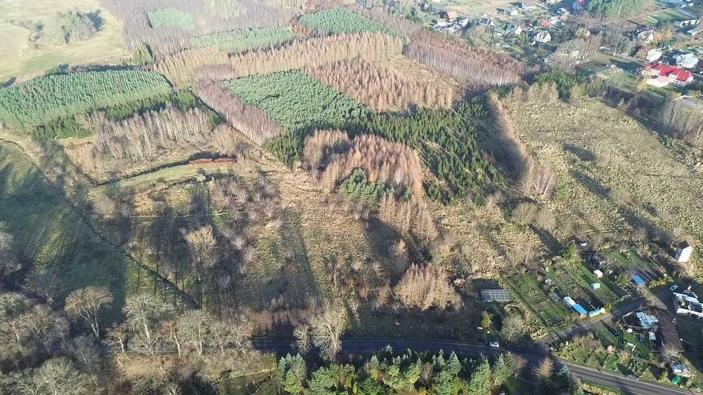 Działki w Warcinie*rolno-budowlane*5000 m2 i więcej