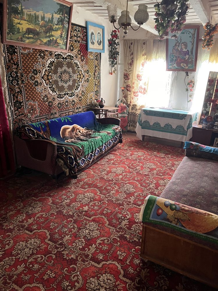 Будинок,дача,приватна садиба,с.Степанівка,Ємільчине.
