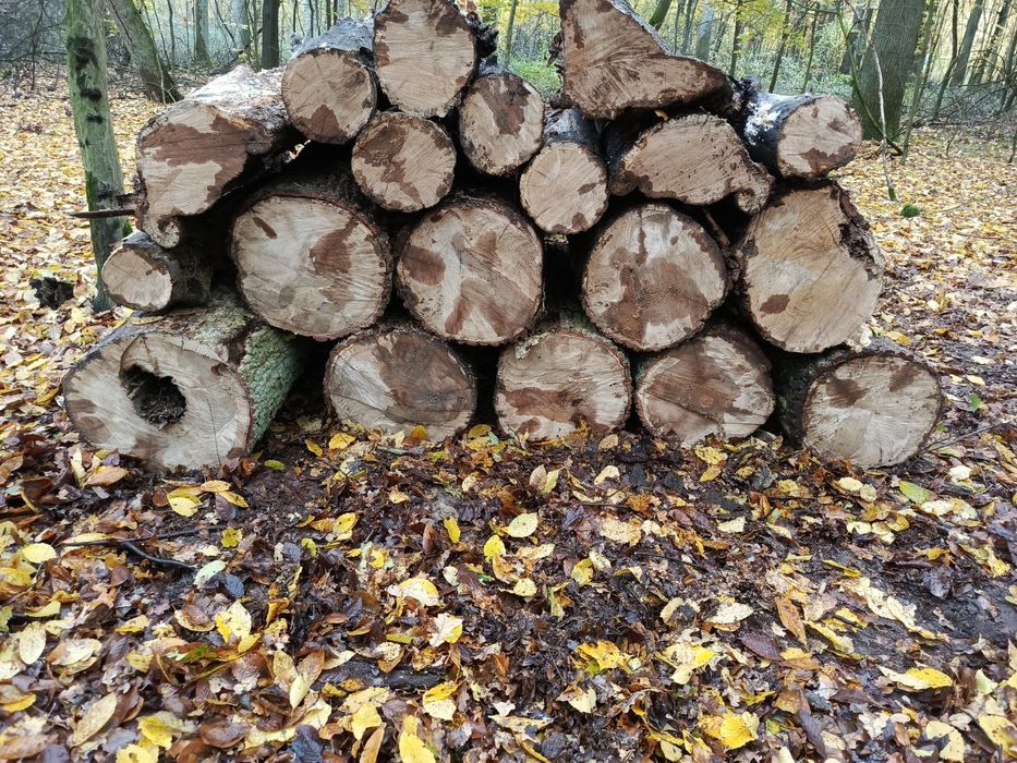 Drewno kominkowe opałowe transport dąb sosna gałęziówka