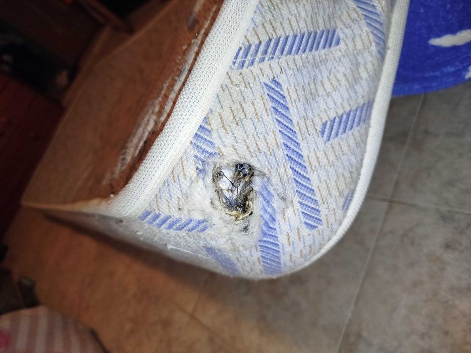 Colchão solteiro usado