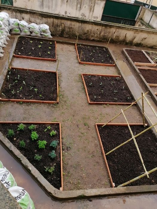 Jardineiro - Limpeza e manutenção de jardins e Hortas biológicas