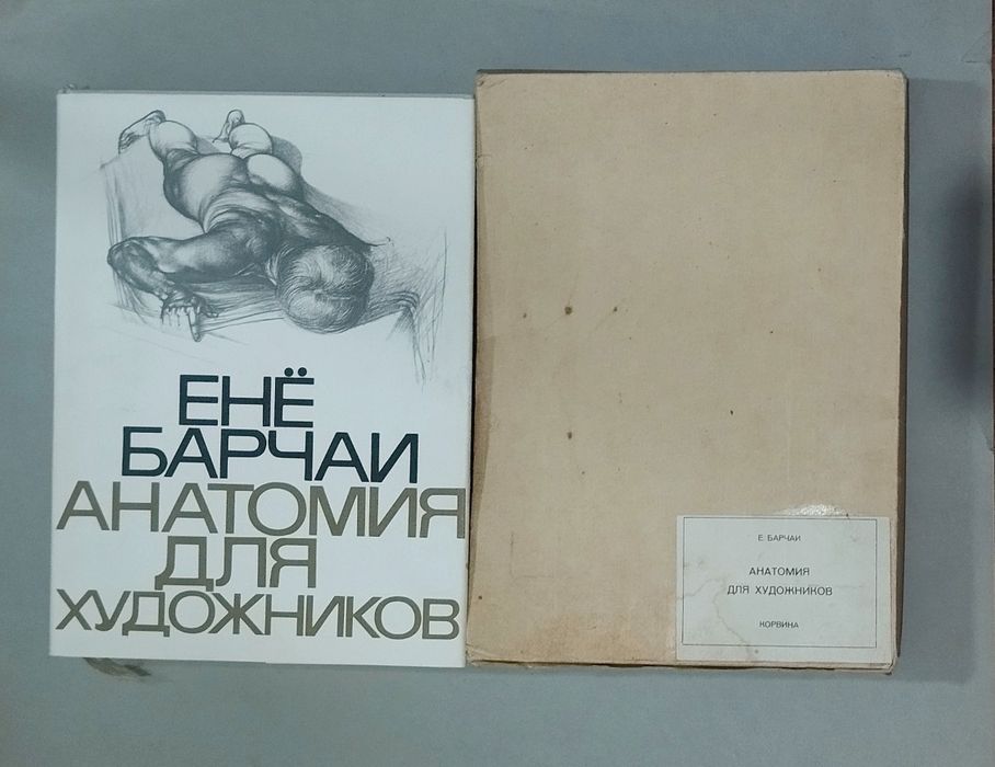 Анатомія Енё Барчаи