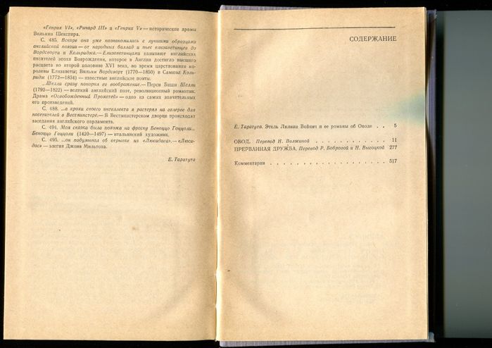 Романы Э.Л. Войнич «Овод» и «Прерванная дружба»