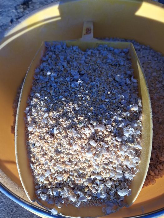 Groch gnieciony, mielony (nie śrutowany) dla kur, kaczek, drobiu 20kg