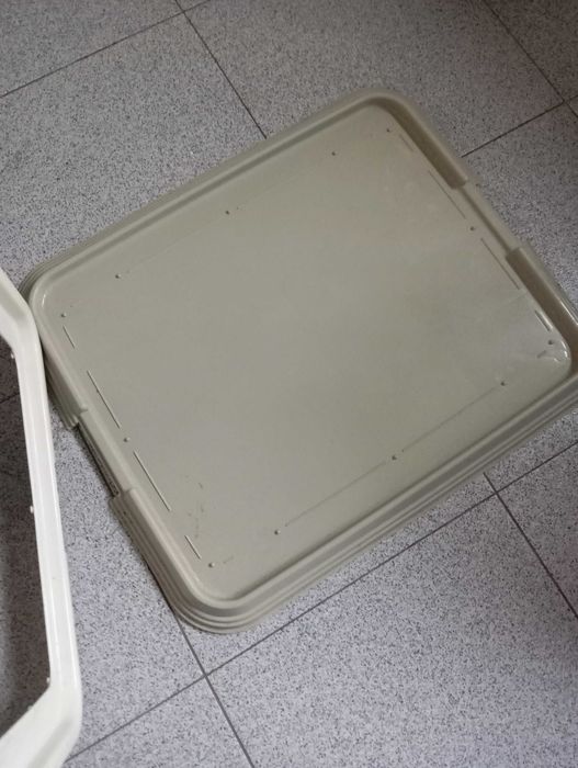 Tabuleiro para tapetes higiénicos