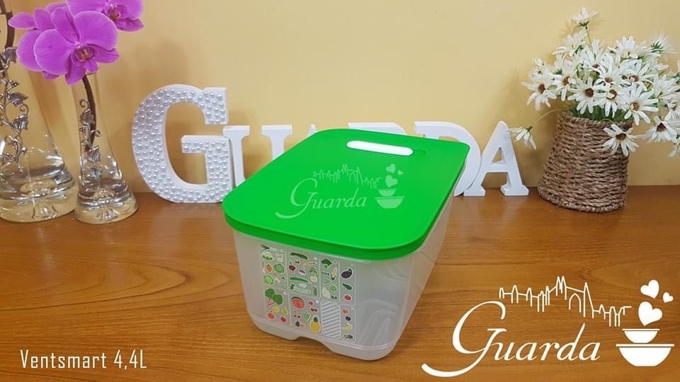 Caixa VentSmart de Refrigeração 4.4L Frutas/Legumes Tupperware